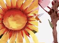 Happy Wednesday Beautiful Card