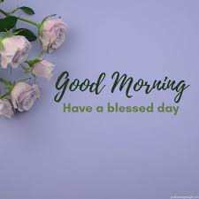 Good-Morning-Happy-Wednesday-Have-A-Nice-Day