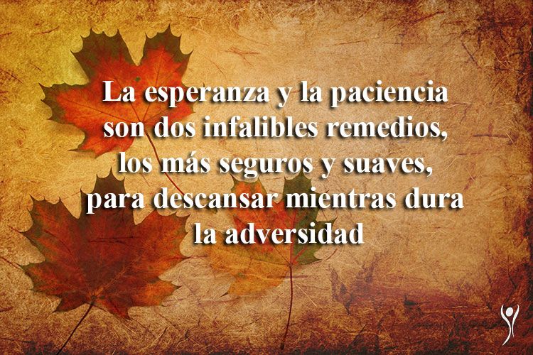 frases-vida