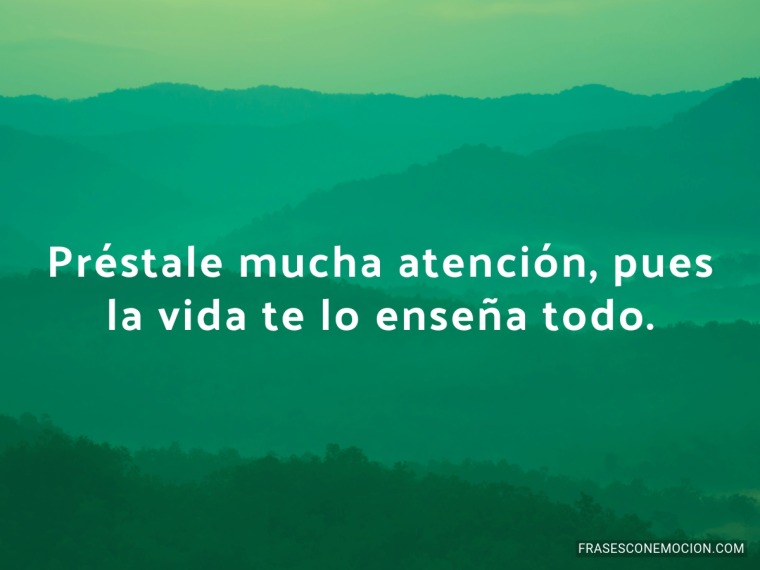 prestale-mucha-atencion-mb